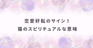 恋愛好転のサイン！猫がもたらすスピリチュアルな意味