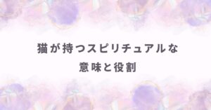 江原啓之さんが語る猫が持つスピリチュアルな意味と役割